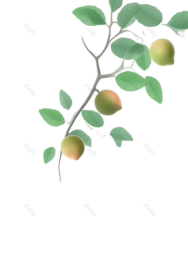 叶子图片,芒种元素,树叶PNG,绿色免抠素材